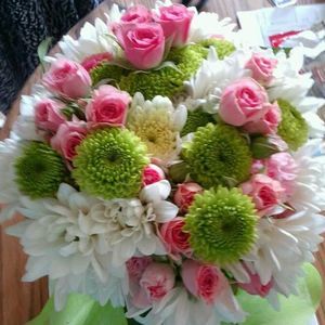 Meet your Posher, Judy